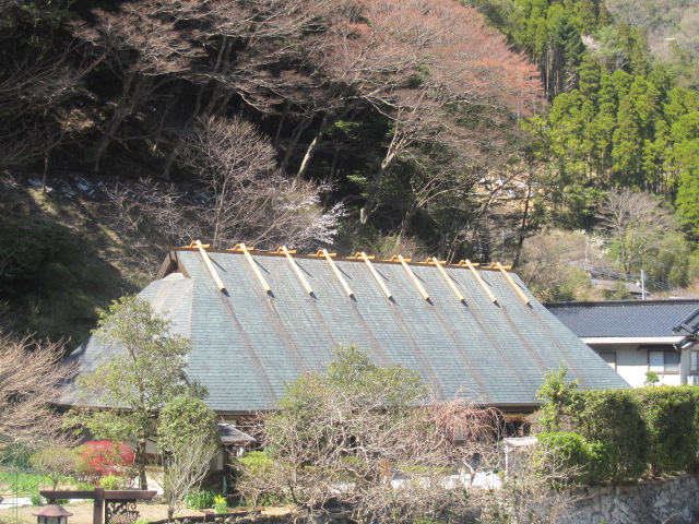 春の鶴富屋敷